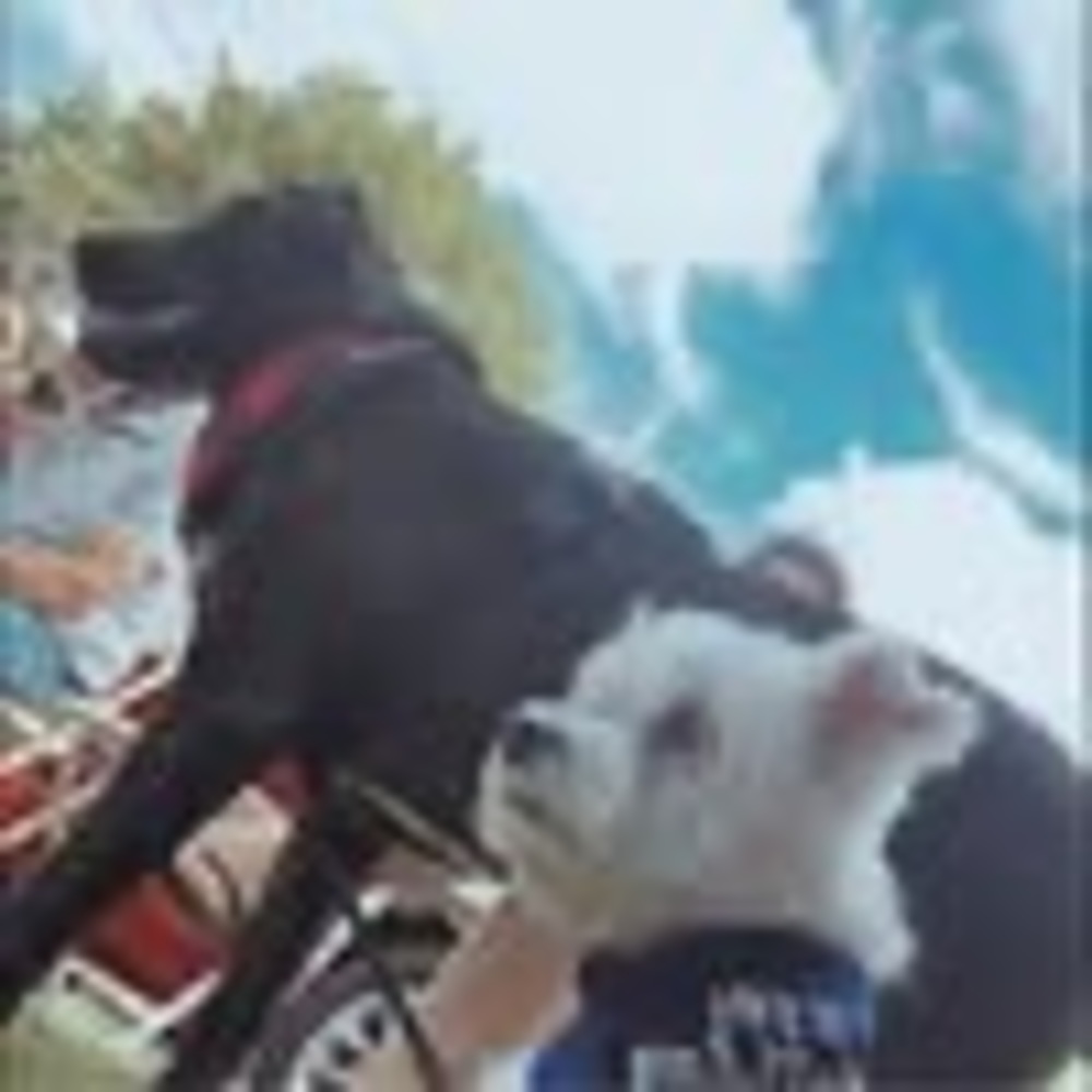 Meet your Posher, Pelucha